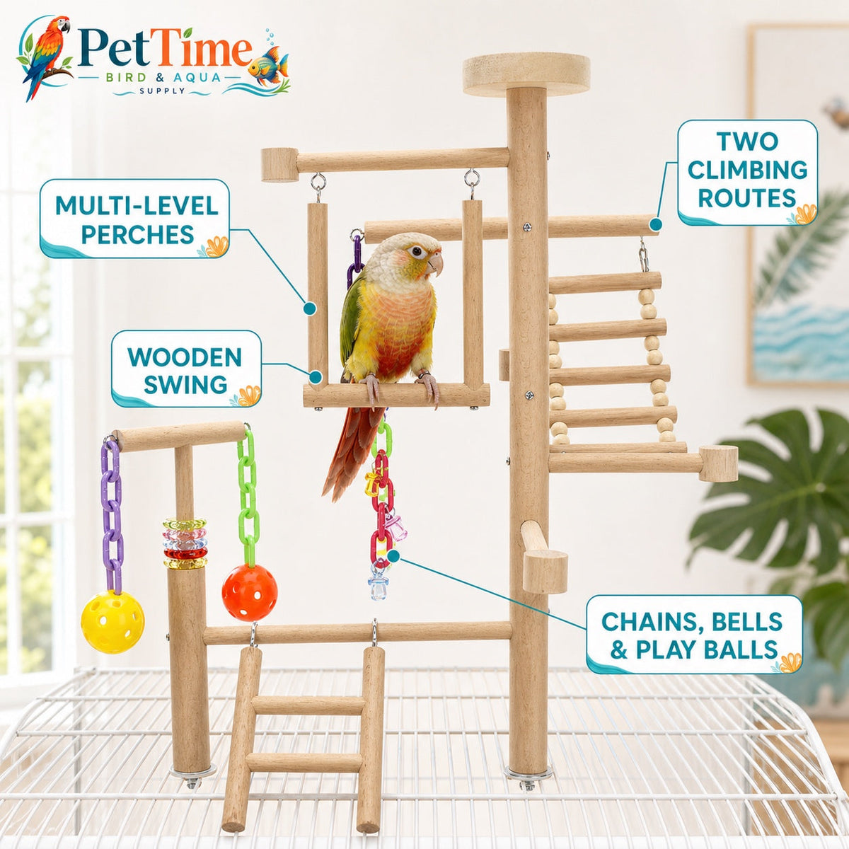 Parrot Play Gyms