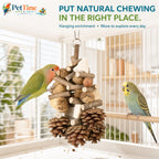 Hanging Multi-Texture Bird Chewing Toy with Apple Wood, Corn Cob and Cuttlebone, Cage Shredding and Climbing Toy