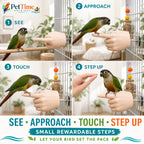 Parrot Training Hand Perch for Cage, Fake Hand Step-Up Practice Stand