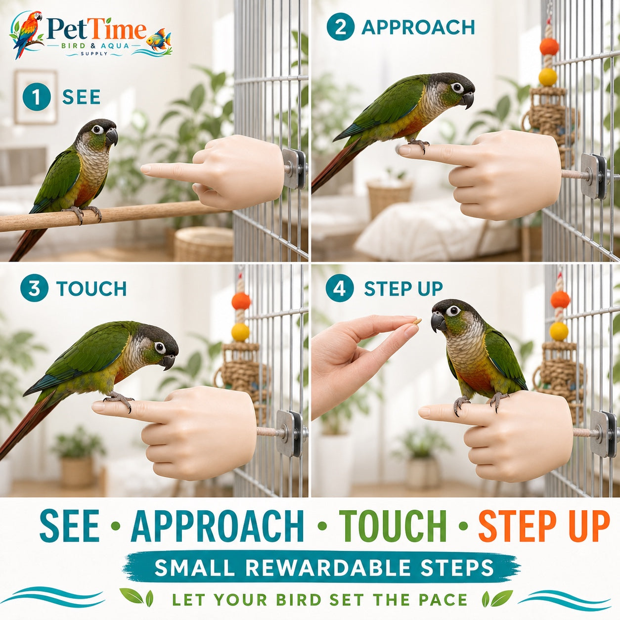 Parrot Training Hand Perch for Cage, Fake Hand Step-Up Practice Stand