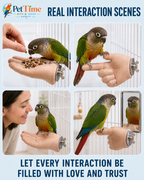 Parrot Training Hand Perch for Cage, Fake Hand Step-Up Practice Stand