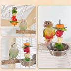 2 Pack Parrot Fruit Skewers with Catch Trays, Bird Food Holders