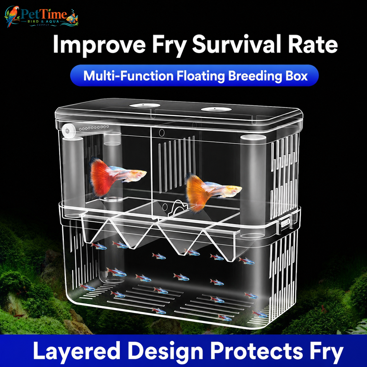 Aquarium Breeder Box for Baby Fish, In-Tank Guppy Birthing and Fish Isolation Box