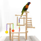 Table Top Parrot Playground, Multi-Level Wooden Parrot Playground with Perches
