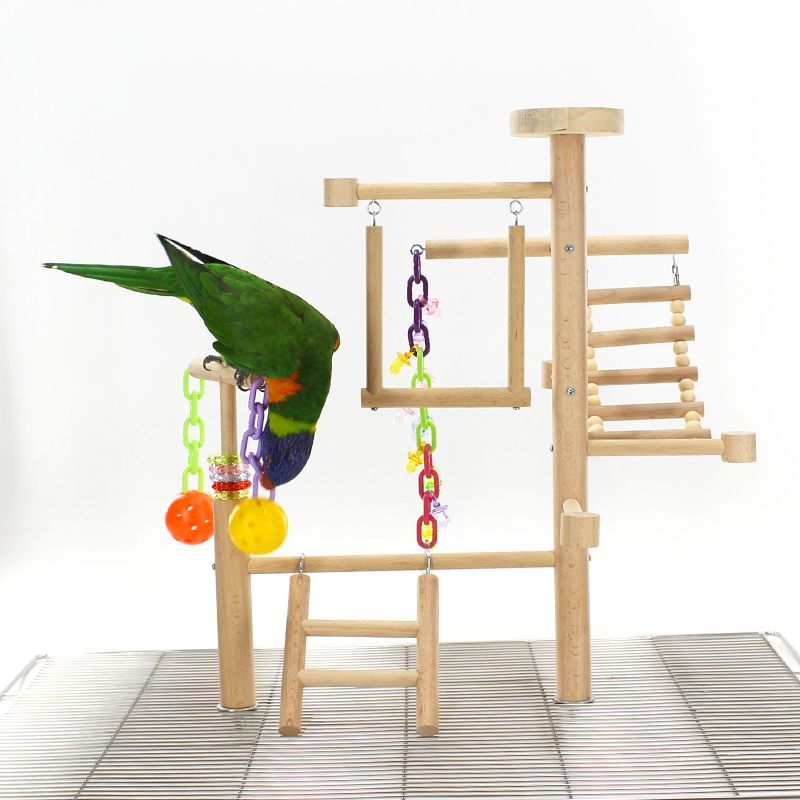 Table Top Parrot Playground, Multi-Level Wooden Parrot Playground with Perches