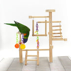 Table Top Parrot Playground, Multi-Level Wooden Parrot Playground with Perches