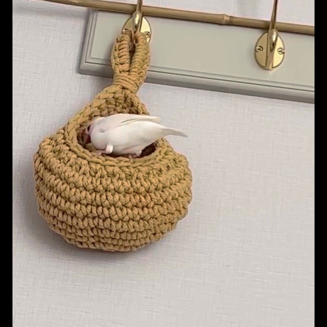 Hanging Bird Nest Basket for Small Birds, Teardrop Woven Parrot Resting Nook