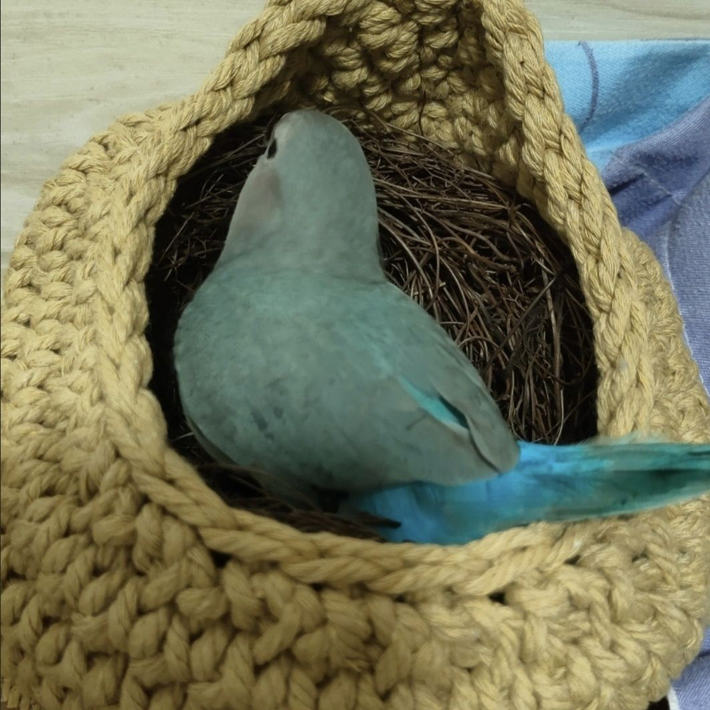 Hanging Bird Nest Basket for Small Birds, Teardrop Woven Parrot Resting Nook