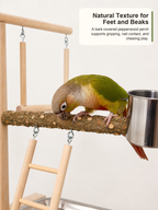 Table Top Bird Play Stand with Pepper Wood Perches, Parrot Playground