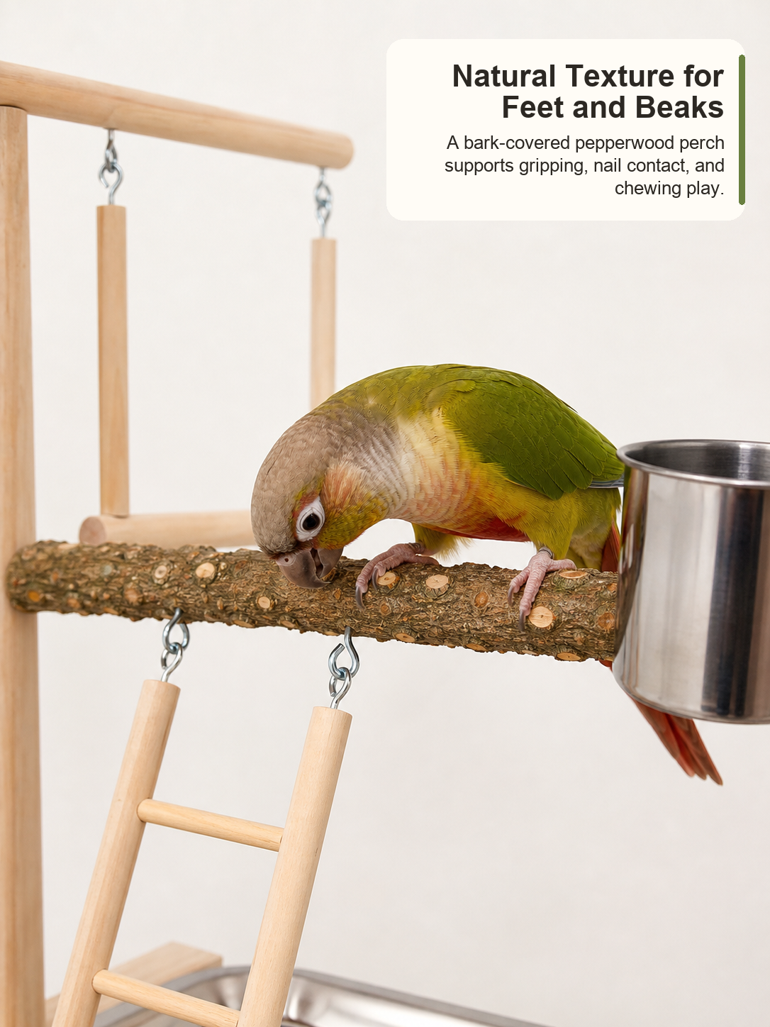 Table Top Bird Play Stand with Pepper Wood Perches, Parrot Playground