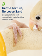 Tafit Ceramic Bird Perch, Apple Core Shaped Parrot Nail Care