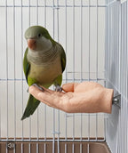 Parrot Training Hand Perch for Cage, Fake Hand Step-Up Practice Stand