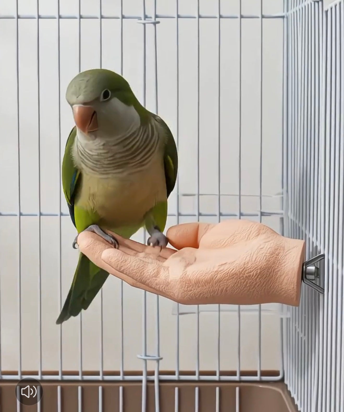 Parrot Training Hand Perch for Cage, Fake Hand Step-Up Practice Stand