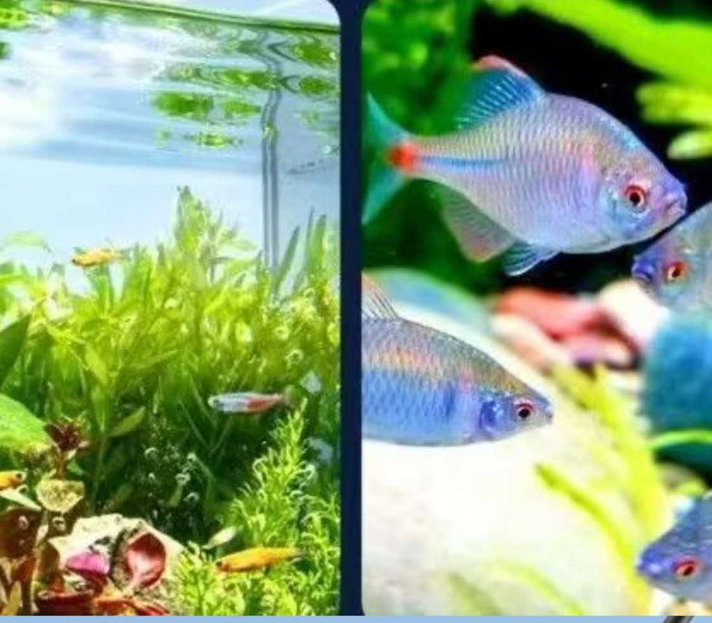 7W USB Clip-On Aquarium Light, 3-Mode Dimmable LED Fish Tank Lamp