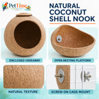 Natural Coconut Shell Bird House and Resting Perch