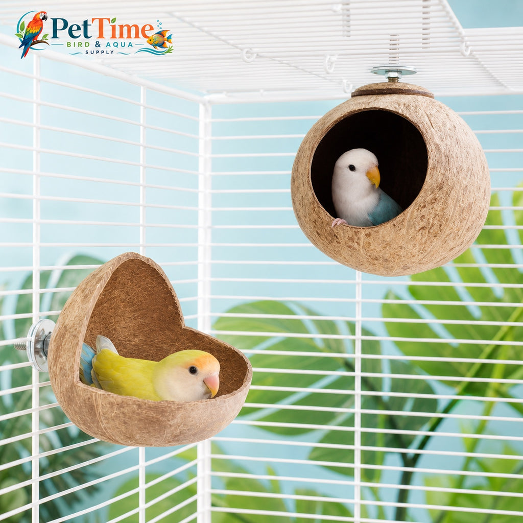 Natural Coconut Shell Bird House and Resting Perch
