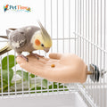 Parrot Training Hand Perch for Cage, Fake Hand Step-Up Practice Stand