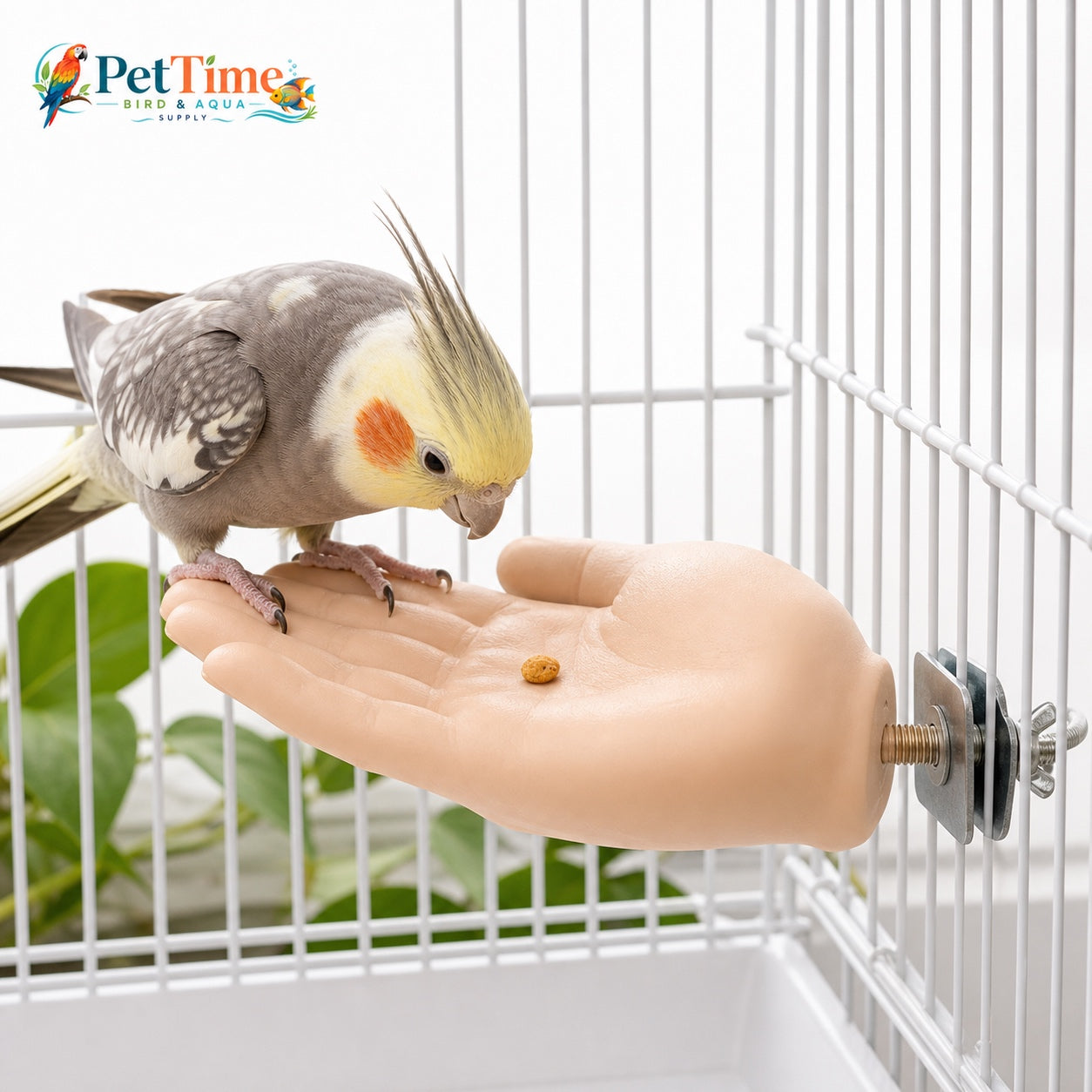 Parrot Training Hand Perch for Cage, Fake Hand Step-Up Practice Stand