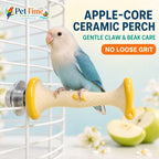 Tafit Ceramic Bird Perch, Apple Core Shaped Parrot Nail Care