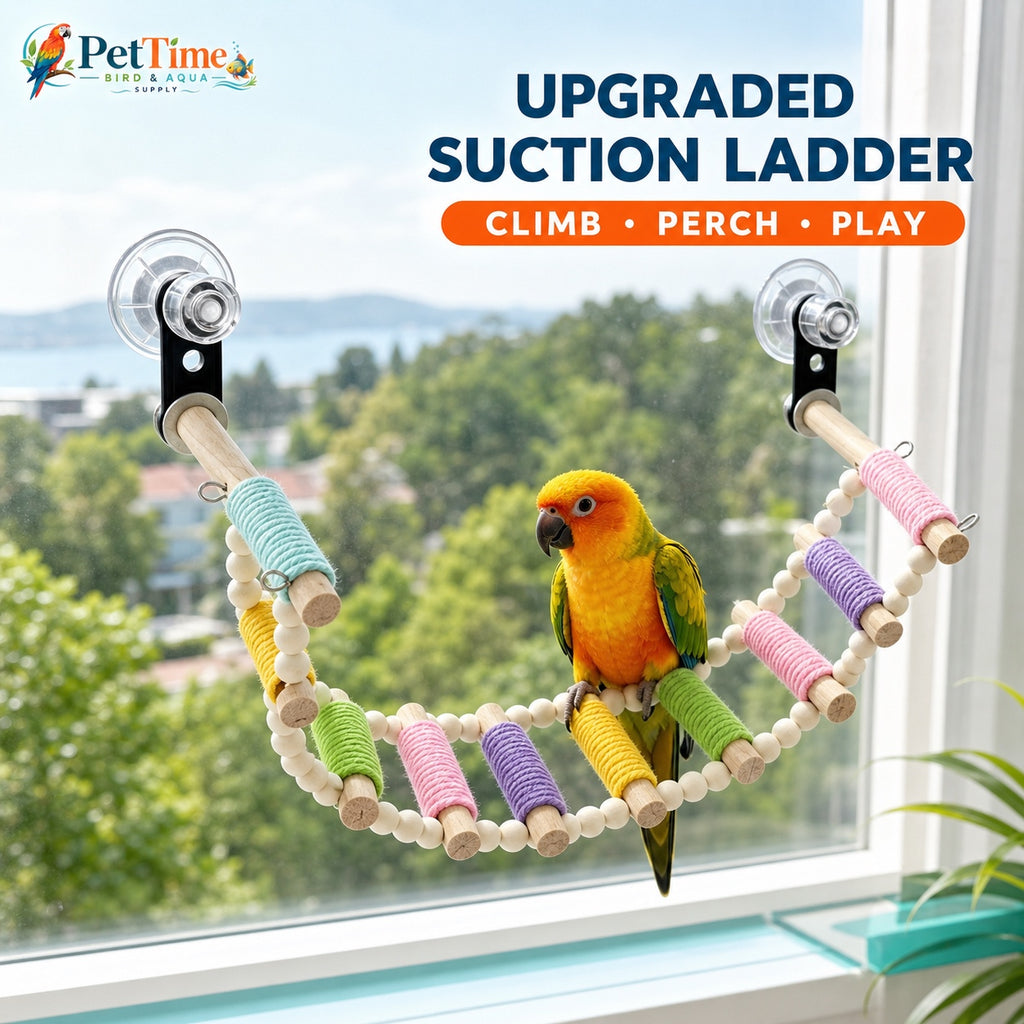 Window Suction Cup Bird Perch and Rope Ladder, Window Parrot Climbing Toy